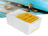 Queen Bee Mating Box Foam Breeding Rearing Copulation Accessory Beekeeping Equipment V1294-YM0901-3111200232111