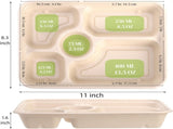 50 Pack 5 Compartment Disposable Paper Plates, 11" x 8" Compostable Bagasse School Lunch Tray, V1259-DP01-A-896