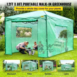 12'x 8'x 8' Pop-Up Greenhouse, Set Up in Minutes, Portable Greenhouse with Doors & Windows. High V952-ZDBXSHYW-128814R5V0
