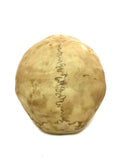 Highly Realistic Replica Human Skull Statue Home Dcor Can be used as seasonal Halloween table dcor V1192-AZ-W-17035
