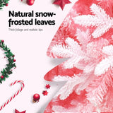 Jingle Jollys Christmas Tree 1.8m Pink Xmas Tree Snowy Party Decor 810 Tips XM-TR-WELL-6FT-PINK-GS