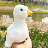 Yellow Chick Stuffed Chicken White 17cm, Plush Toy, Duck Soft Toy Chick Stuffed V1370-AZ4-07031