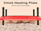 Electric Chick Brooder Heating Plate Adjustable Height Chick Cage Heater Chicken Warmer US Plug V1370-AZ4-07560