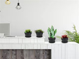 Pots for Plants, 8 Pack 4.8 inch Plastic Planters with Multiple Drainage Holes and Trays - Plant V1189-WXFWAL-20260319-01164