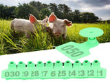Pig Ear Tag Signs Marking Labels with Numbers for Farm Animal Identification V1294-YM0901-3111200210411