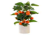 Small Fake Fruit Tree Decor Artificial Potted Tree with White Pot Potted Plant Perfect for Kitchen V1294-YM0523-220324CY13-1