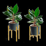 Metal Plant Stand Adjustable Indoor V63-916221