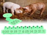 Pig Ear Tag Signs Marking Labels with Numbers for Farm Animal Identification V1294-YM0901-3111200210411