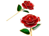 24K Gold Plated Rose, Dried Flower Kit with Gift Box and Display Stand, Rose Red V1237-ZY-203-0106