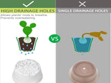 Pots Plants, 8 Pack 4 inch Plastic Planters with Multiple Drainage Holes and Trays - Plant Pots V1189-WXFWAL-20260319-01176