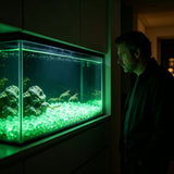 Purple Glow in the Dark Pebbles,200 Pcs Resin Luminous Stones,Decorative Rocks for Pathway Aquarium V1369-AZ3-W-14852