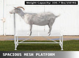 Livestock Stand 51x23 inches, Trimming Stand with Straight Head Piece, Goat Trimming Stand Metal V952-YYZJJSCDLZBS00001V0