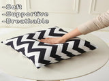 18" x 18" Throw with Inserts, Pack of 2 Outdoor Waterproof Striped Pillow, Square Decorative V1258-DP02-C-3209