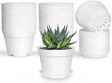 Pots for Plants, 8 Pack 4.8 inch Plastic Planters with Multiple Drainage Holes and Trays - Plant V1189-WXFWAL-20260319-01167