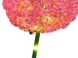 Solar Ball Light Outdoor Waterproof Garden Flower Spot Light Decorative for Courtyard Pink V1294-YM0901-3119240056911
