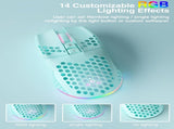 SOLAKAKA SM600 Honeycomb Shell Gaming Mouse Wireless,green V1300-SM600-GREEN