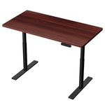 Artiss Standing Desk Motorised Electric Dual Motor Walnut 120CM HASD-B-M10-BKDF-WADB-120