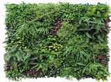 Luxury Country Fern Recycled Vertical Garden / Green Wall UV Resistant Sample V637-DP1097773-1-S