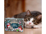 Cat Advent Calendar 2024 Christmas Countdown Calendar Xmas Gift for Kitten Toys 24Pcs V1263-JX-1332