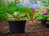 Black Nursery Pots 3 Gallon, Thick Planters with Drainage Holes for Gardening, Flowers, Vegetables V1366-AZ2-W-16509