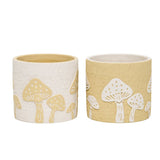 Set 2 Asst Mushroom Planters w Hole Plug 17cm V637-88746PLN