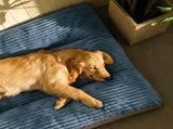 Luxuriously Soft and Thick Pet Sleeping Mat, Perfect Four-Season Floor Bed for Dogs and Cats, V1341-ZY-P5APP8GV-2XL-BLUE