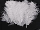 200 Pieces White Natural Ostrich 20-25cm Wedding DIY V1366-AZ2-W-15877