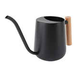 Stainless Steel Watering Can Modern Nordic Style Long Spout Water Can for Succulent Bonsai Garden V1294-YM0901-3111240091311