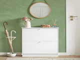 2 Drawer Shoe Cabinet Storage Unit V178-71884