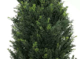 Artificial Cypress Pine Tree UV Resistant 2.1M V637-DP1009561-S