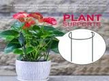 Plant Support Plant Stake Half Round Plant Support Ring Garden Flower Support Plant Support Stakes V1294-YM0901-181203LY0143