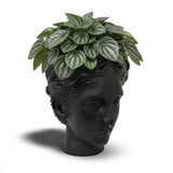 Urban Attitude Venus Head Planter - Matte Black V398-UA-UT260609BLK