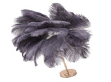 Ostrich Feather Table Lamp Rechargeable Modern Romantic Decoration Lamp Bedroom Bedside Lamp for V1294-YM0703-3119230059315