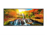 SHARP ME-series 50'' Display DS-SHPNME502
