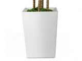 Lambu Artificial Dracaena Tree Lifelike Fake Leaves Artificial Plants Indoors UM1265-6FT-AU