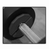 2PCS 0.5KG Gym Micro-Plates Dumbbell Fractional Weight Plate Rubber Fractional Weight Plates Add-on V1369-AZ3-W-11600