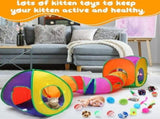 21 Cat Tunnels for Indoor Set,3 In1 Collapsible Cat Tunnel Toy with Cube Tent Toys Combo and 20 V1369-AZ3-W-22169