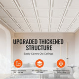 Ceiling Tiles 96-Pack 20 x 20 in Polystyrene Easy Installation Glue-up V952-THBZPSB96J507BX42V0