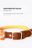 Premium Leather Pet Collar and Leash - Soft, Strong Braided Rope V888-ELOSUNG31301