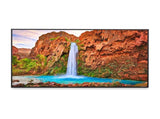 SHARP ME-series 65'' Display DS-SHPNME652