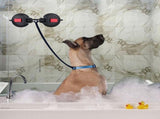 Heavy-Duty Suction Cup Anchor for Large Dogs 360&deg Rotating Metal Ring, Dual 120mm Strong Suction V1341-ZY-S48SWVWA-DUALSUCTION-CUP