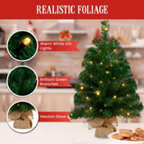 61cm Chadwick Green Pre-Lit Tabletop Christmas Tree 112_OPCG2P