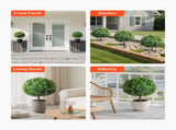 Artificial Topiary Boxwood Trees with Ground Spike, 2 Set 686mm Faux Shrubs & Bushes Potted Plants, V952-DDMJCRGXJHYMXNYUV001V0