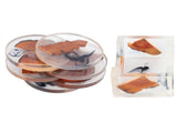 6Pcs Drinks Rack Set Heat Insulation Pine Wood Resin Cup Pad Tabletop Protection V1294-YM0901-3118210191811