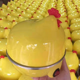 Egg Steamer ,Mini Breakfast Machine Egg Cooker Single Layer Egg Steamer Kitchen Small Household V1369-AZ3-W-17635