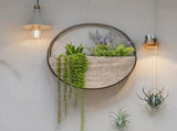 Timber Elemental Wall Planter 50cm V637-91270PLN
