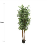 Large Custom Made Ficus Tree 250cm V637-DP1159645