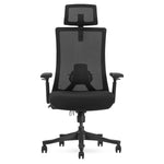 Lifespan Fitness DM9 Ergonomic Mesh High Back Office Chair V420-LFOC-DM9BK-1