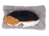 Simulation with Sound Lovely Vivid Novel Gifts Plush Plastic Material Toy Car DecorationBig V1294-YM0523-3115220002215