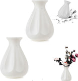 Vase - 2 Pieces - Plant Vase - Flower Vase - Dried Flower Vase - Home Accessories for Flowers and V1188-MS101-02181-1